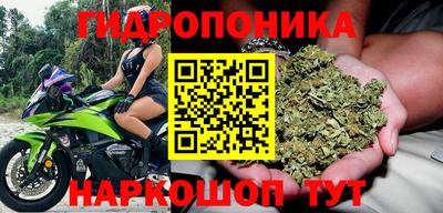 крисы Уссурийск