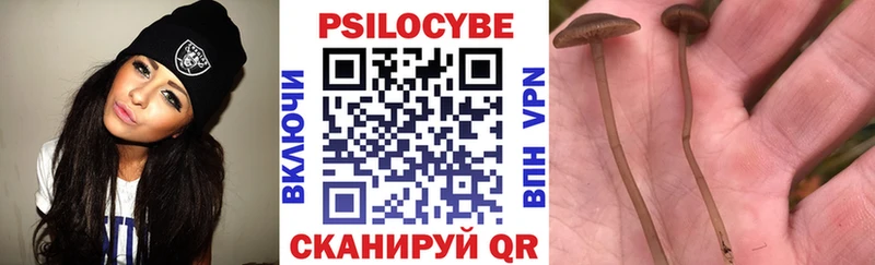 Галлюциногенные грибы прущие грибы  блэк спрут сайт  Одинцово  цены  