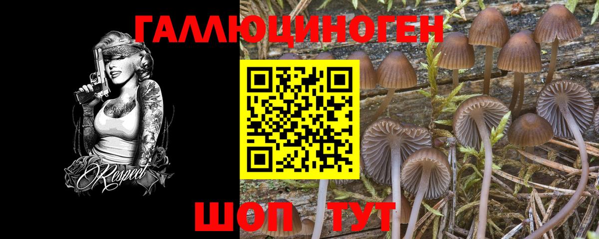 Галлюциногенные грибы Psilocybe  Псилоцибиновые грибы мицелий  Вход с VPN  Одинцово 